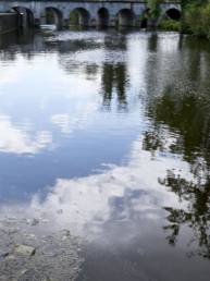Pollution escaut federation peche