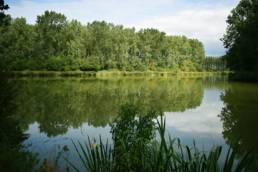 Étang de pêche du lac du bois des forts à Coudekerque Village dans le Nord