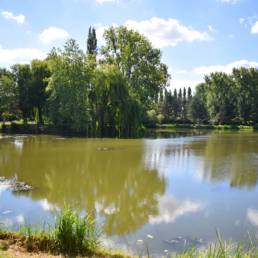 Etang de pêche communal d'Armentières dans le Nord