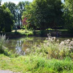 Etang de pêche communal d'Armentières dans le Nord
