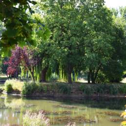 Etang de pêche communal d'Armentières dans le Nord