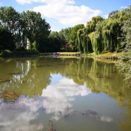 Etang de pêche communal d'Armentières dans le Nord