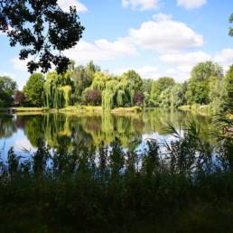 Etang de pêche communal d'Armentières dans le Nord
