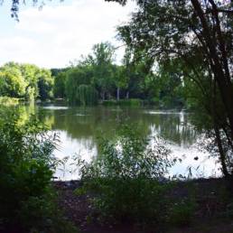 Etang de pêche communal d'Armentières dans le Nord