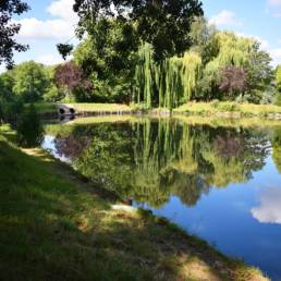 Etang de pêche communal d'Armentières dans le Nord