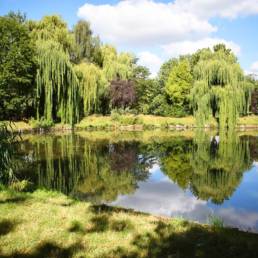 Etang de pêche communal d'Armentières dans le Nord