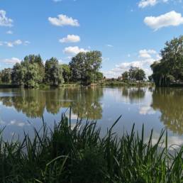 Etang de pêche communal d'Armentières dans le Nord