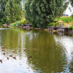 Étang de pêche du bizet à Armentières dans le Nord