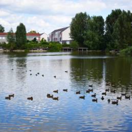 Étang de pêche du bizet à Armentières dans le Nord