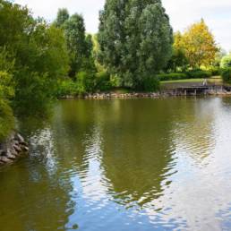 Étang de pêche du bizet à Armentières dans le Nord