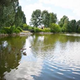 Étang de pêche du bizet à Armentières dans le Nord