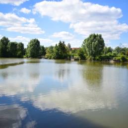 Étang de pêche du bizet à Armentières dans le Nord