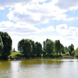 Étang de pêche du bizet à Armentières dans le Nord