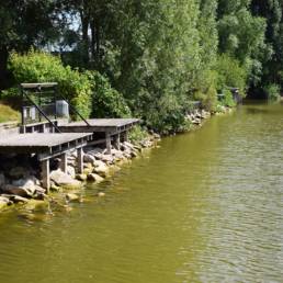 Étang de pêche du bizet à Armentières dans le Nord