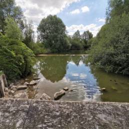 Étang de pêche du bizet à Armentières dans le Nord