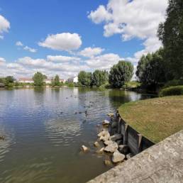 Étang de pêche du bizet à Armentières dans le Nord