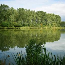 Étang de pêche du lac du bois des forts à Coudekerque Village dans le Nord