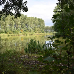 Étang de pêche du lac du bois des forts à Coudekerque Village dans le Nord