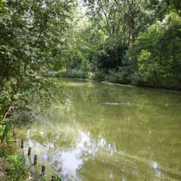Étang de pêche du lac du bois des forts à Coudekerque Village dans le Nord