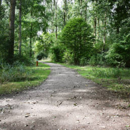 Étang de pêche du lac du bois des forts à Coudekerque Village dans le Nord