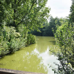 Étang de pêche du lac du bois des forts à Coudekerque Village dans le Nord