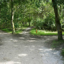 Étang de pêche du lac du bois des forts à Coudekerque Village dans le Nord