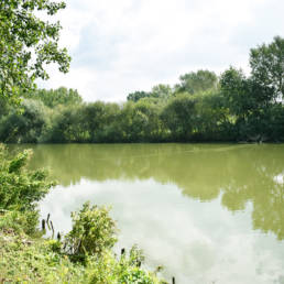 Étang de pêche du lac du bois des forts à Coudekerque Village dans le Nord