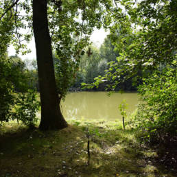 Étang de pêche du lac du bois des forts à Coudekerque Village dans le Nord