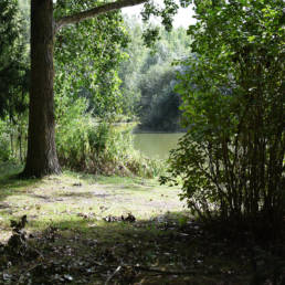 Étang de pêche du lac du bois des forts à Coudekerque Village dans le Nord