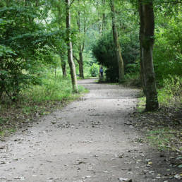 Étang de pêche du lac du bois des forts à Coudekerque Village dans le Nord