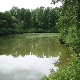 Étang de pêche du lac du bois des forts à Coudekerque Village dans le Nord