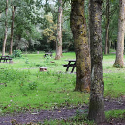 Étang de pêche du lac du bois des forts à Coudekerque Village dans le Nord
