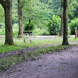 Étang de pêche du lac du bois des forts à Coudekerque Village dans le Nord