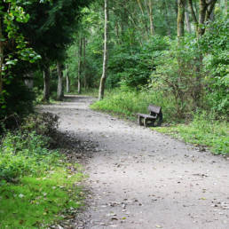 Étang de pêche du lac du bois des forts à Coudekerque Village dans le Nord