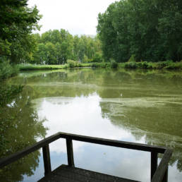 Étang de pêche du lac du bois des forts à Coudekerque Village dans le Nord