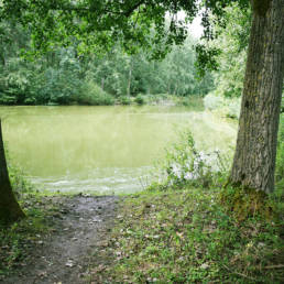 Étang de pêche du lac du bois des forts à Coudekerque Village dans le Nord