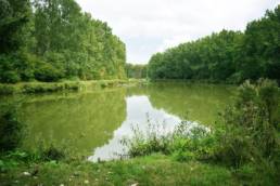 Étang de pêche du lac du bois des forts à Coudekerque Village dans le Nord