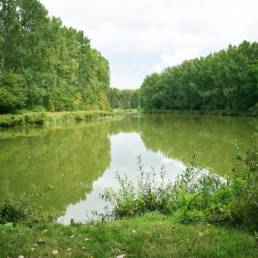 Étang de pêche du lac du bois des forts à Coudekerque Village dans le Nord