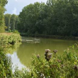 Étang de pêche du lac du bois des forts à Coudekerque Village dans le Nord