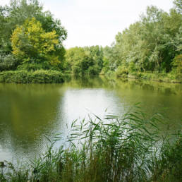Étang de pêche de Fort Vallières à Coudekerque Village dans le Nord