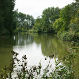 Étang de pêche de Fort Vallière à Coudekerque Village dans le Nord