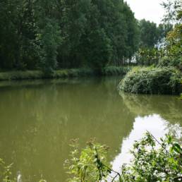 Étang de pêche de Fort Vallière à Coudekerque Village dans le Nord