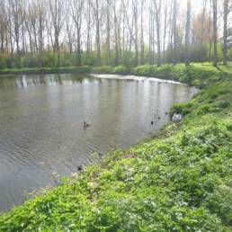 Étang de pêche de Fort Vallière à Coudekerque Village dans le Nord