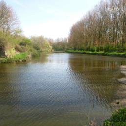 Étang de pêche du lac du bois des forts à Coudekerque Village dans le Nord