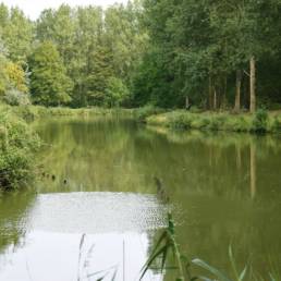 Étang de pêche de Fort Vallières à Coudekerque Village dans le Nord