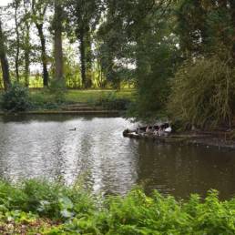 Etang de pêche au Parc Charles Fenain de Douai dans le Nord