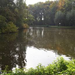Etang de pêche au Parc Charles Fenain de Douai dans le Nord