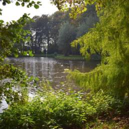 Etang de pêche au Parc Charles Fenain de Douai dans le Nord