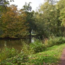 Etang de pêche au Parc Charles Fenain de Douai dans le Nord
