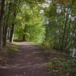 Etang de pêche au Parc Charles Fenain de Douai dans le Nord
